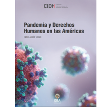 Pandemia y Derechos Humanos en las Américas